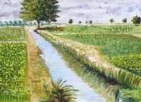 Shahnaz Mahar, 10 x 14 Inch, Oil on Canvas,  Landscape Painting, AC-SZM-002